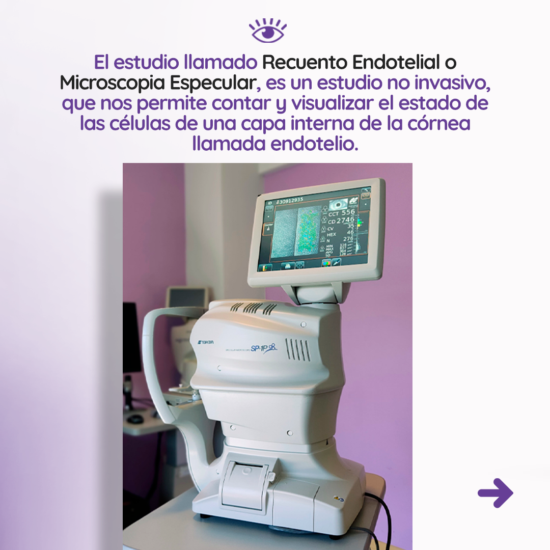 s2_recuentoendotelial_feed_02 s2_recuentoendotelial_feed_02