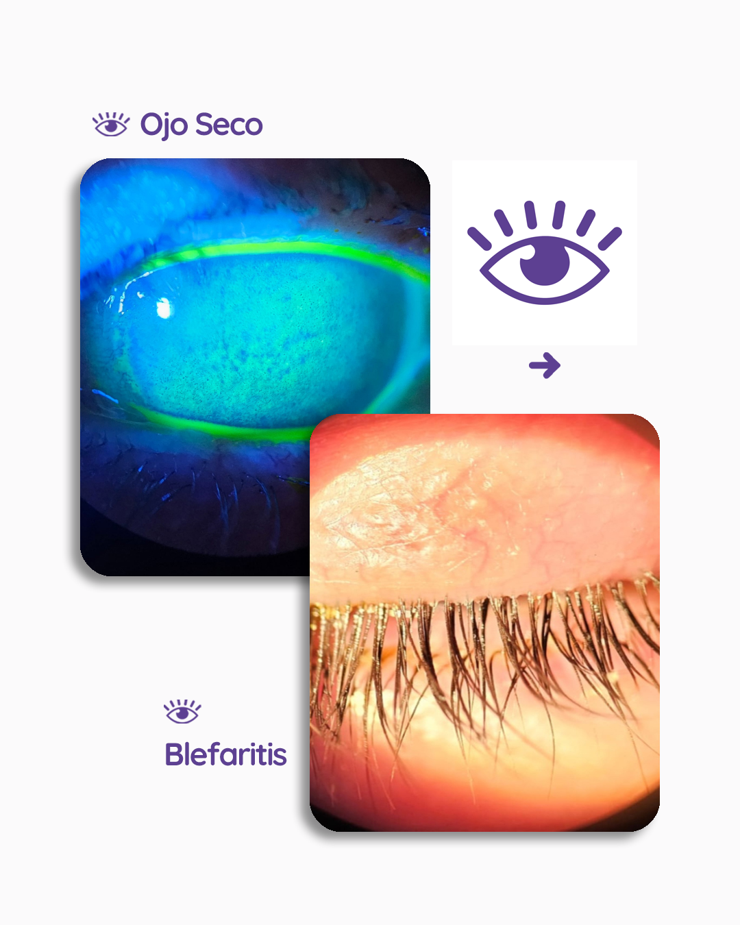 s6_luzpulsadaintensa_feed_1080x1350_04