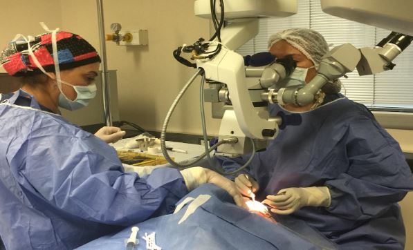 glaucoma-conimplantesvalvulares glaucoma-conimplantesvalvulares