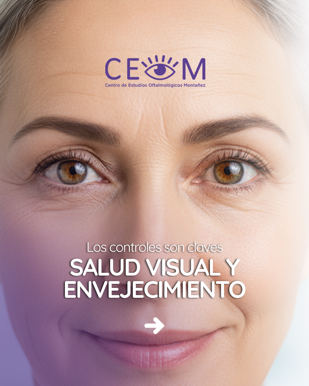 diseno-ceom-tema-1-salud-visual-y-envejecimiento-2_01 diseno-ceom-tema-1-salud-visual-y-envejecimiento-2_01
