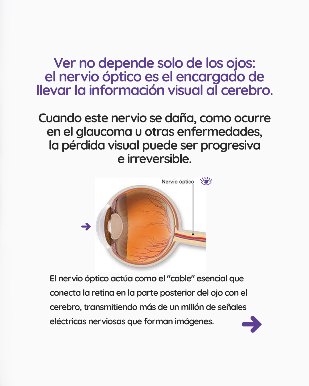 s1_nerviooptico_feed_1080x1350_02