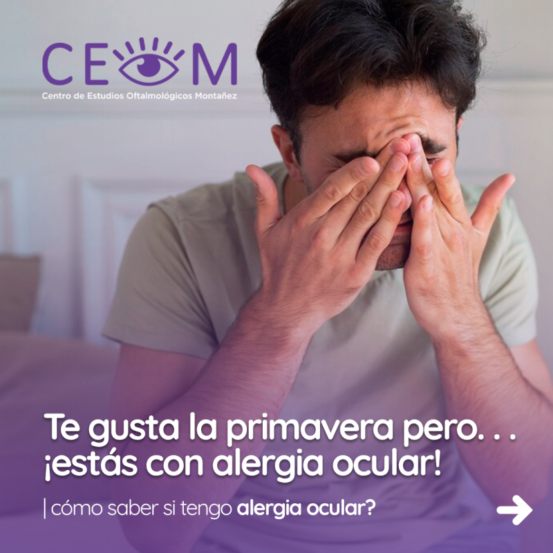 s1_alergiaocular_feed_01 s1_alergiaocular_feed_01