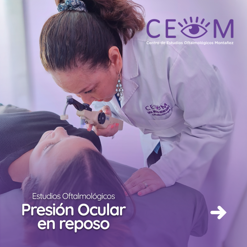 s1_presionocularenreposo_feed_01 s1_presionocularenreposo_feed_01