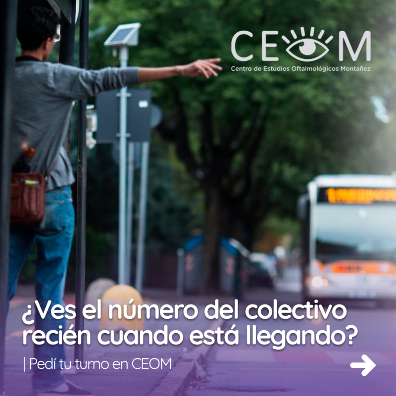 s3_bondi_feed_01 s3_bondi_feed_01