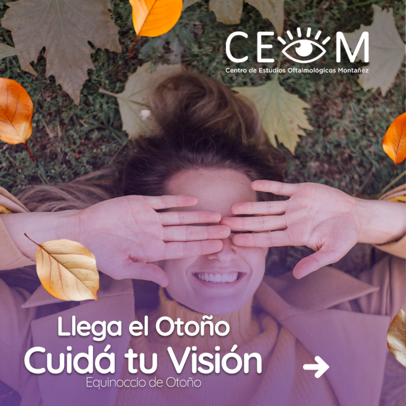 s3_otono_feed_01 s3_otono_feed_01