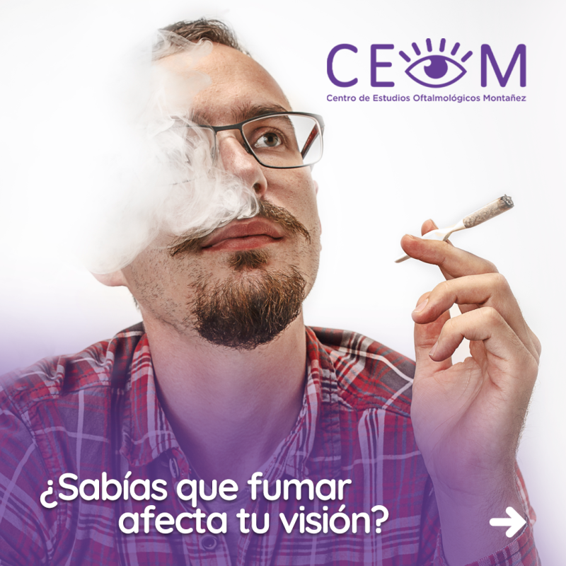 s4_fumar_feed_01 s4_fumar_feed_01